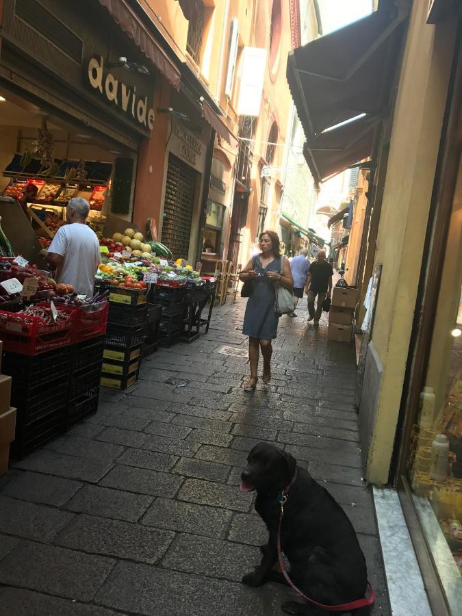 Casa Salbego R&B Panzió Bologna Kültér fotó